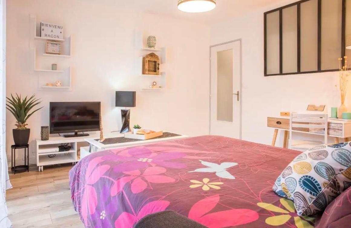 Charmant Appartement T1 Mâcon Exteriör bild